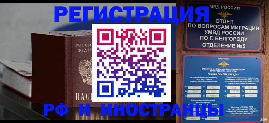 прописка 2025 в Луге